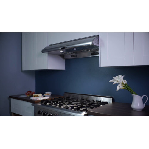 Zephyr Typhoon 30 in. 850 CFM Under Mount Range Hood with LED